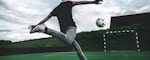 国际足球联合会 FIFA 官方标志